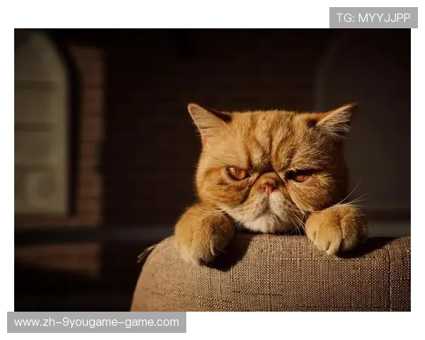 UFC震撼瞬间：一记肘击让顶级拳手瞬间懵圈，背后隐藏的战术秘密