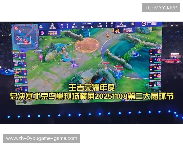 《王者荣耀》年度总决赛现场火爆，百万玩家观看在线直播，王者荣耀总决赛直播回放